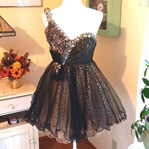 Alyce Paris Babydoll Dress.  Fairycore,  Ballerinacore, Whimsigoth